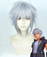 Kingdom Hearts III Riku Silver Grey Cosplay Wig