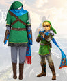 The Legend of Zelda Hyrule Warriors Link Cosplay Costume