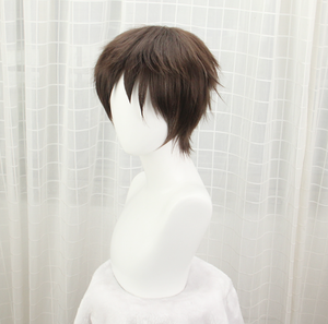 Attack On Titan Shingeki No Kyojin Eren Yeager Eren Yega Eren Jaeger Brown Cosplay Wig