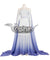 Disney Frozen 2 Elsa Snow Queen Blue White Dress Cosplay Costume