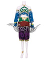 The Legend of Zelda: Breath of the Wild Female Zelda Link Gerudo Outfit Cosplay Costume
