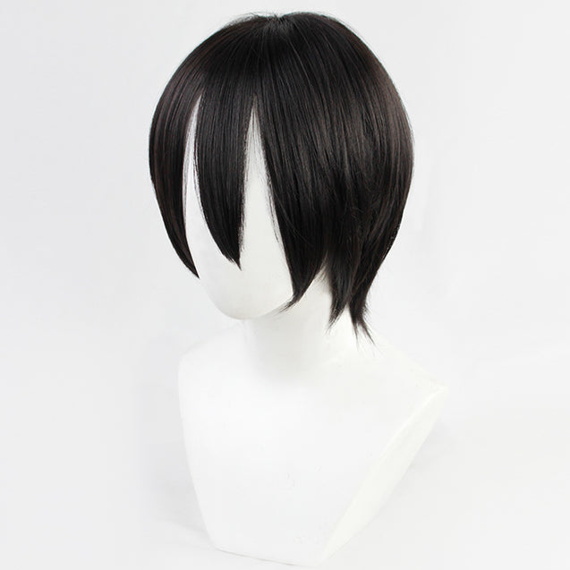 Attack On Titan Shingeki No Kyojin Final Season Mikasa Ackerman Black Cosplay Wig