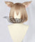 Re: Life In A Different World From Zero Felix Argyle Cosplay Wig