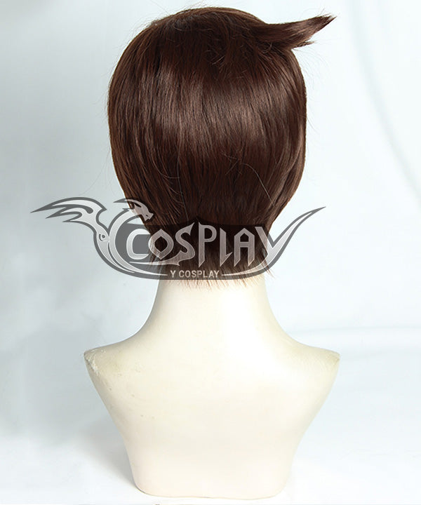 Pokemon Pok¨¦mon Sword And Shield Male Trainer Brown Cosplay Wig