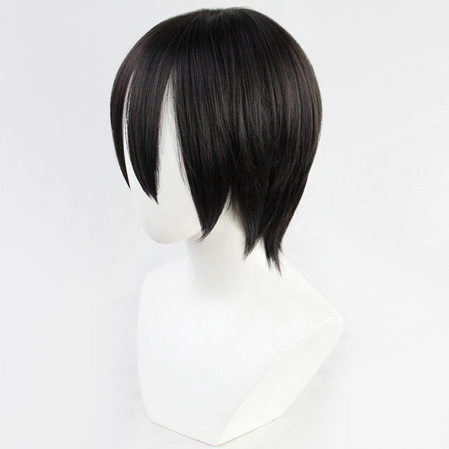 Attack On Titan Shingeki No Kyojin Final Season Mikasa Ackerman Black Cosplay Wig