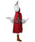 Dragon Quest XI: Echoes of an Elusive Age Veronica Cosplay Costume - No Boots