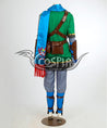 The Legend of Zelda Hyrule Warriors Link Cosplay Costume