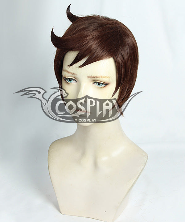 Pokemon Pok¨¦mon Sword And Shield Male Trainer Brown Cosplay Wig