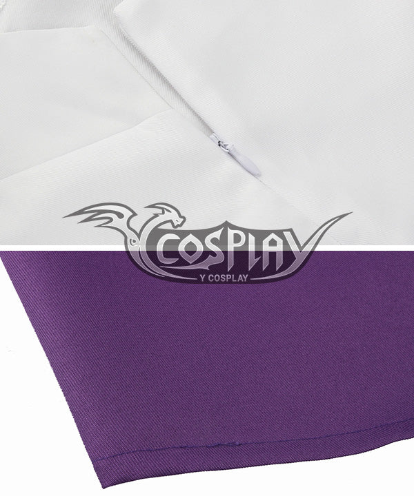 Dragon Quest V Hand of the Heavenly Bride Hero Cosplay Costume