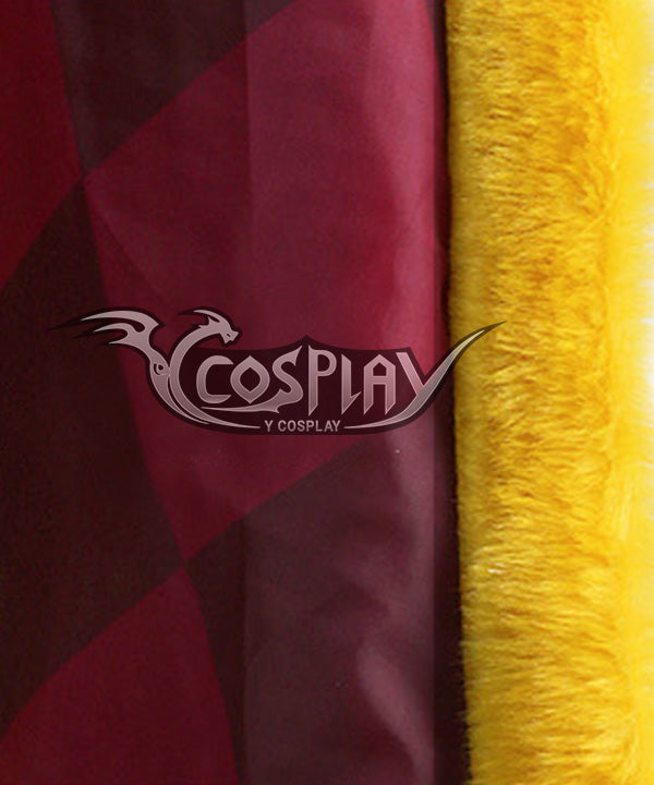 Pokemon Pok¨¦mon Sword And Pok¨¦mon Shield Leon Cosplay Costume