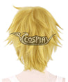 The Legend of Zelda Zeruda no Densetsu Link Golden Cosplay Wig