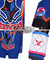 Pokemon Pokemon Sword and Shield Raihan Cosplay Costume