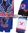 Pokemon Pokemon Sword and Shield Raihan Cosplay Costume