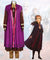 Disney Frozen 2 Anna Cosplay Costume