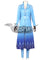 Disney Frozen 2 Elsa New Edition Cosplay Costume