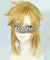 The Legend of Zelda: Breath of the Wild Link Gloden Cosplay Wig