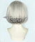 Pokemon Pok¨¦mon Sword And Shield Fighting-Type Bea Grey Cosplay Wig
