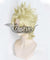 Jojo'S Bizarre Adventure: Battle Tendency Caesar Anthonio Zeppeli Golden Cosplay Wig