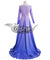 Disney Frozen 2 Elsa Purple Dress Cosplay Costume
