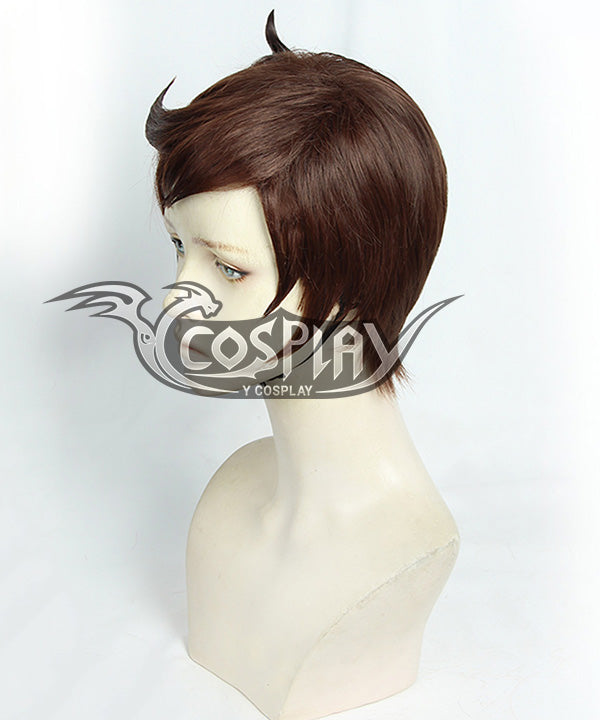 Pokemon Pokémon Sword And Shield Male Trainer Brown Cosplay Wig