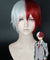 My Hero Academia Boku no Hero Akademia Shoto Todoroki Red White Cosplay Wig